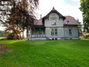 Vila Bohemia Saxon Switzerland & SPA